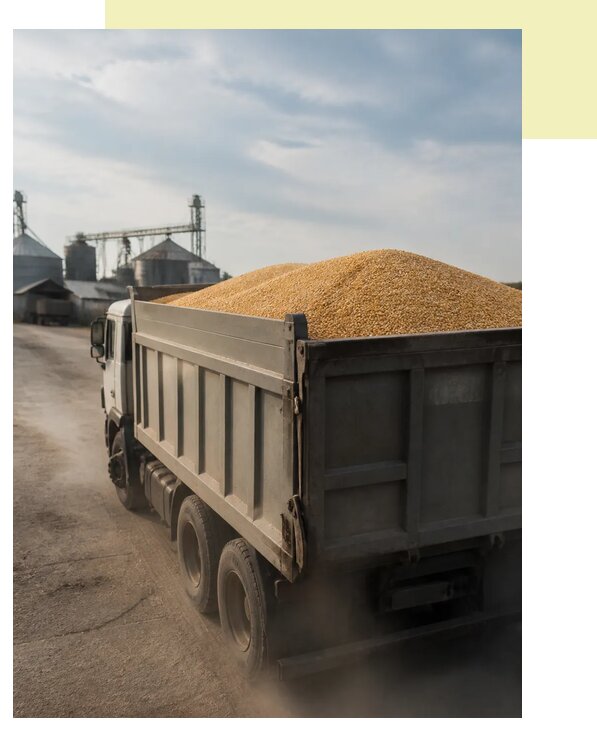 Перевозка сельхозпродукции навалом в Ишимбай по цене от 3042 р. | Агросервис-Шмб